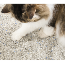 Load image into Gallery viewer, pidan Cat Litter White-Jade (Corn Starch) & Bentonite Mix, 4 Bags | Non-Flushable | PD1645M1