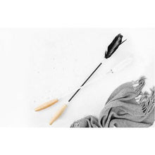 Load image into Gallery viewer, pidan Cat Teaser Wand with Wooden Handle