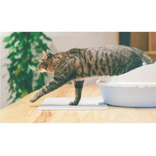 Load image into Gallery viewer, pidan Cat Litter Mat