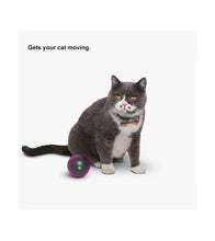 Load image into Gallery viewer, pidan "Dodging Ball" Electronic Cat Interactive Toy