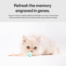 Load image into Gallery viewer, pidan Pet Toy For Cats Bouncy Ball Type 3 PCS