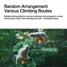 Load image into Gallery viewer, pidan Window Acrylic Jumper | PD2008AX