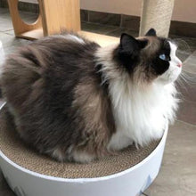 Load image into Gallery viewer, pidan "Valley" Cat Scratcher Bed