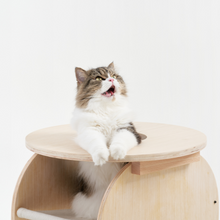 Load image into Gallery viewer, pidan Cat Nest Side Table | PD2019M2