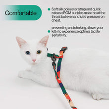 Load image into Gallery viewer, pidan Cat Harness and Leash Set