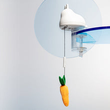 Load image into Gallery viewer, pidan Retractable Pendant Cat Teasing Toy, 2 types