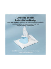 Load image into Gallery viewer, pidan Pet Wet Wipes, 1 bag, 10 packs per bag, 10 Counts per pack