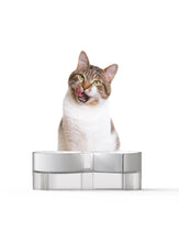 Load image into Gallery viewer, pidan "S-type" Tilted Cat Double Bowl