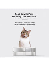 Load image into Gallery viewer, pidan "S-type" Tilted Cat Double Bowl
