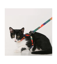 Load image into Gallery viewer, pidan Cat Harness and Leash Set