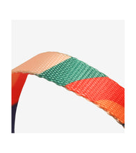 Load image into Gallery viewer, pidan Cat Harness and Leash Set