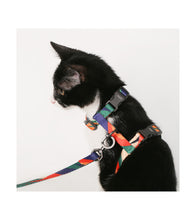 Load image into Gallery viewer, pidan Cat Harness and Leash Set