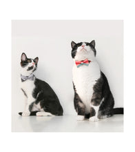 Load image into Gallery viewer, pidan Bowtie Collar