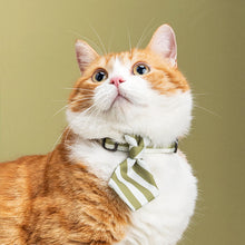 Load image into Gallery viewer, pidan Pet Necktie for Cats