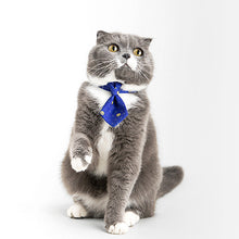 Load image into Gallery viewer, pidan Pet Necktie for Cats