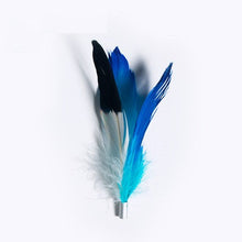 Load image into Gallery viewer, pidan Cat Teaser Toy Accessories, A2 Feather