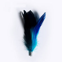 Load image into Gallery viewer, pidan Cat Teaser Toy Accessories, A2 Feather