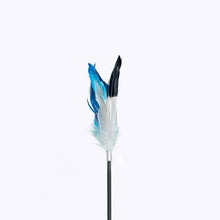 Load image into Gallery viewer, pidan Cat Teaser Toy Accessories, A2 Feather