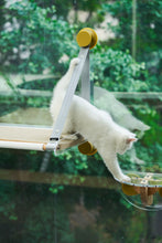 Load image into Gallery viewer, pidan Window Acrylic Jumper | PD2008AX