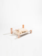 Load image into Gallery viewer, pidan Acrylic Cat Nest with Integrated Scratch Board