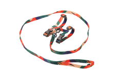 Load image into Gallery viewer, pidan Cat Harness and Leash Set, Extra Large | PD2950BX
