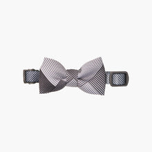 Load image into Gallery viewer, pidan Bowtie Collar