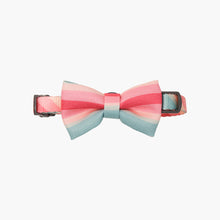 Load image into Gallery viewer, pidan Bowtie Collar