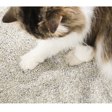 Load image into Gallery viewer, pidan Cat Litter White-Jade (Corn Starch) &amp; Bentonite Mix, 4 Bags | Non-Flushable | PD1645M1
