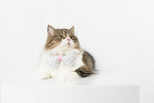 Load image into Gallery viewer, pidan Pet 3D Bowtie for Cats

