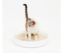 Load image into Gallery viewer, pidan Cat Litter Tofu &amp; CRUSHED Bentonite | PD1609M1
