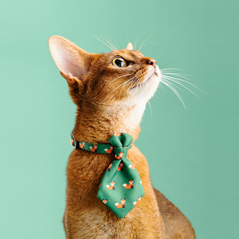 pidan Pet Necktie for Cats
