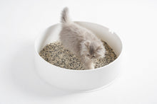 Load image into Gallery viewer, pidan 3-in-1 Blend Cat Litter, Pail | 11.4 lb
