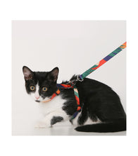 Load image into Gallery viewer, pidan Cat Harness and Leash Set
