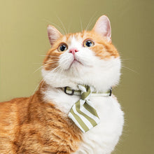 Load image into Gallery viewer, pidan Pet Necktie for Cats
