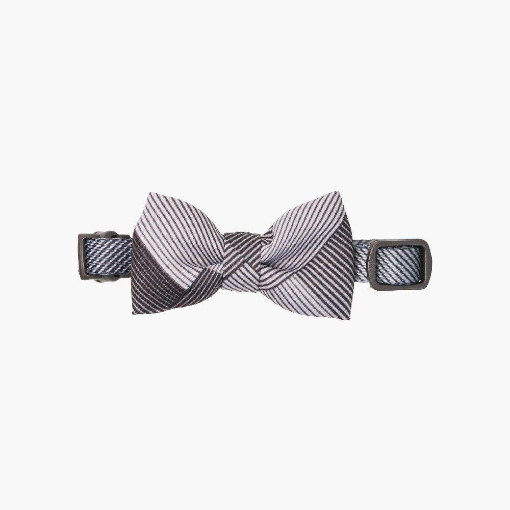 pidan Bowtie Collar